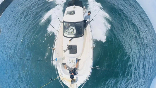 雪梨海釣|每次都爆倉的釣魚活動|老少皆宜