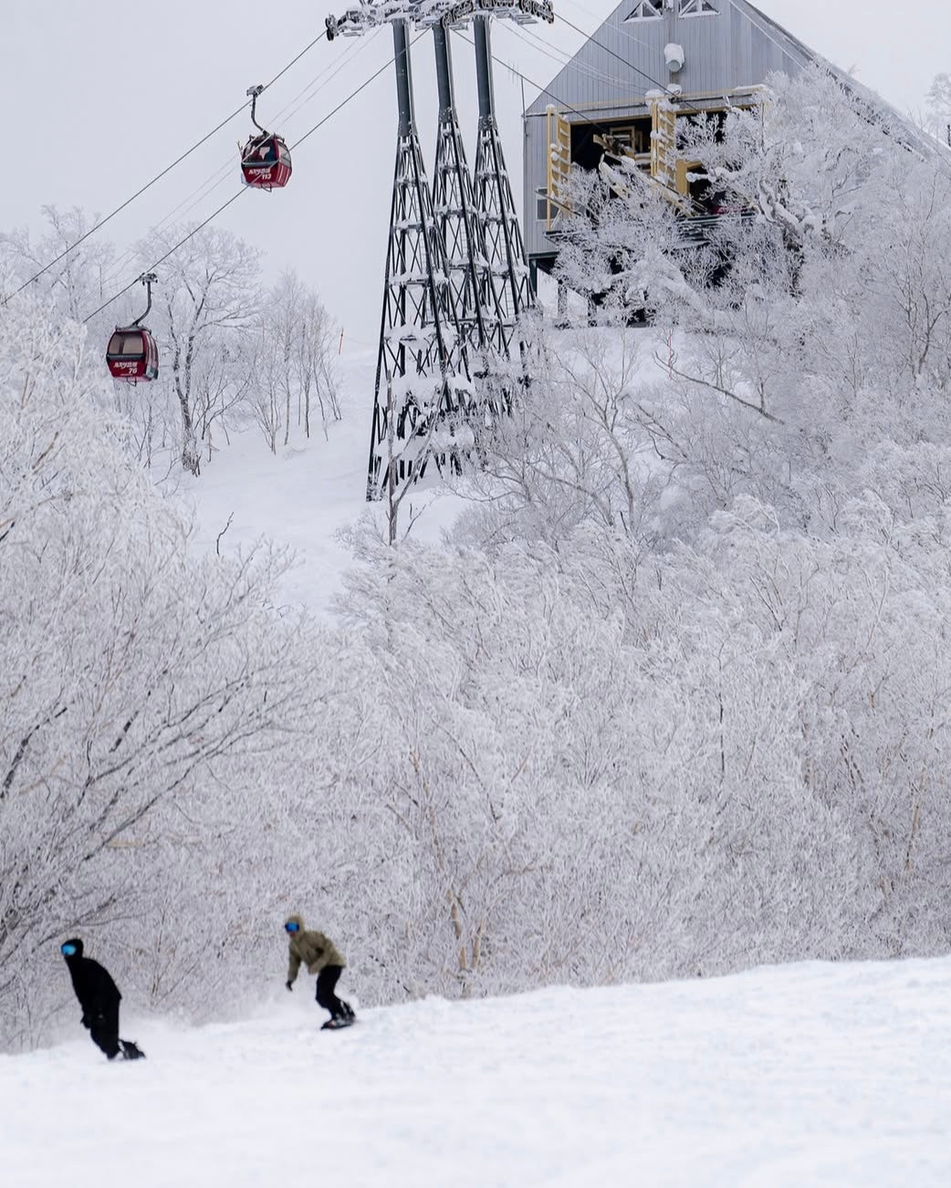 日本北海道外滑|聖誕+跨年雪之旅|全程包車