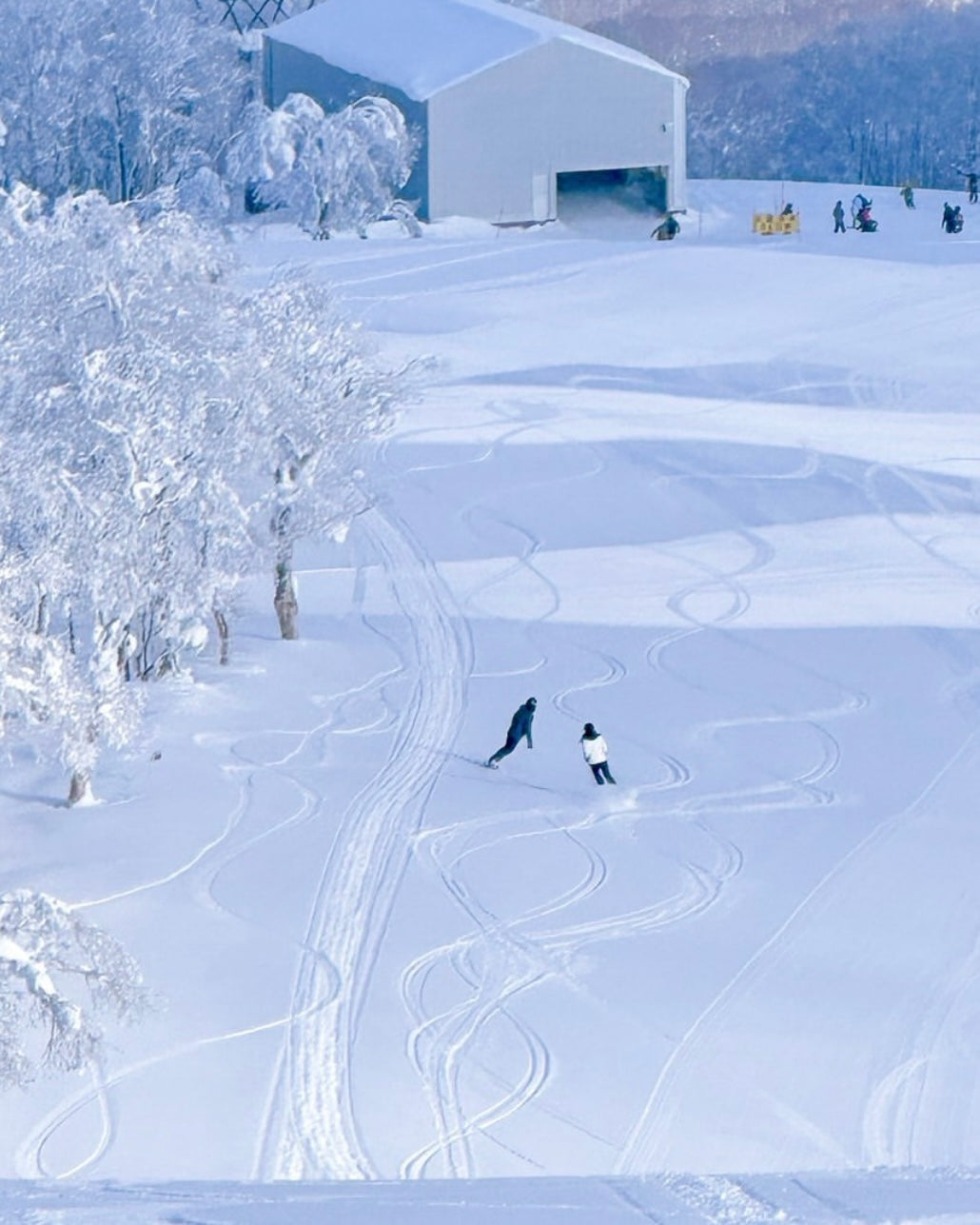 日本北海道外滑|聖誕+跨年雪之旅|全程包車