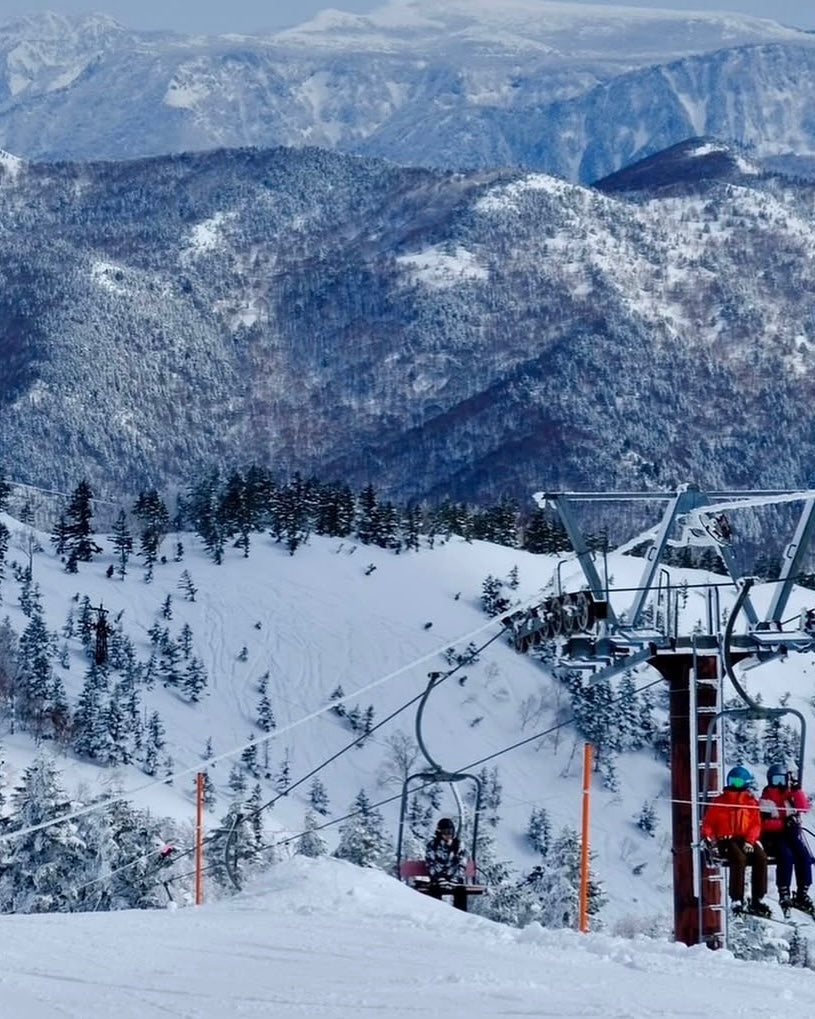 日本長野滑|越後雪境×溫泉秘湯|全程包車