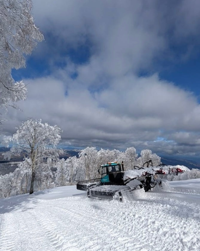 日本長野滑|越後雪境×溫泉秘湯|全程包車