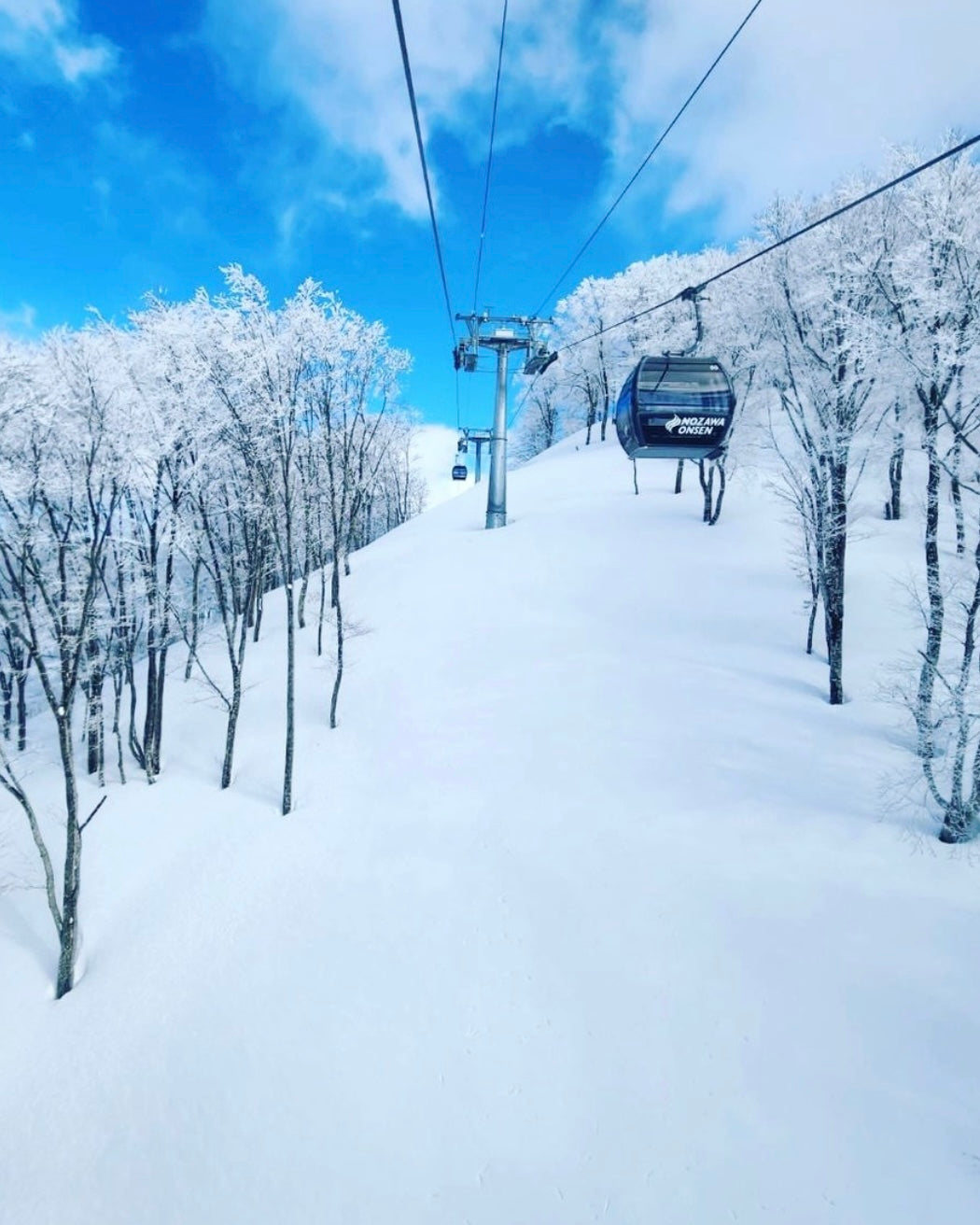 日本長野滑|越後雪境×溫泉秘湯|全程包車