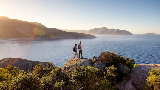 墨爾本包車|健行愛好者狂喜|企鵝島+威爾遜國家公園兩天遊