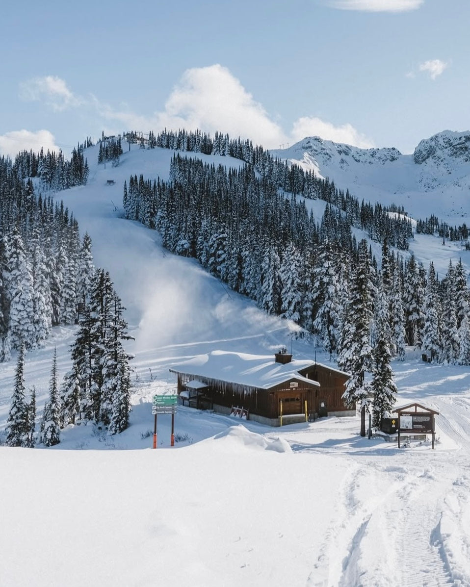 🇨🇦北美外滑|班夫x惠斯勒·雙冠粉雪盛宴|全程包車