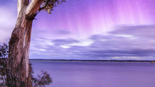 塔斯馬尼亞|極光拍攝