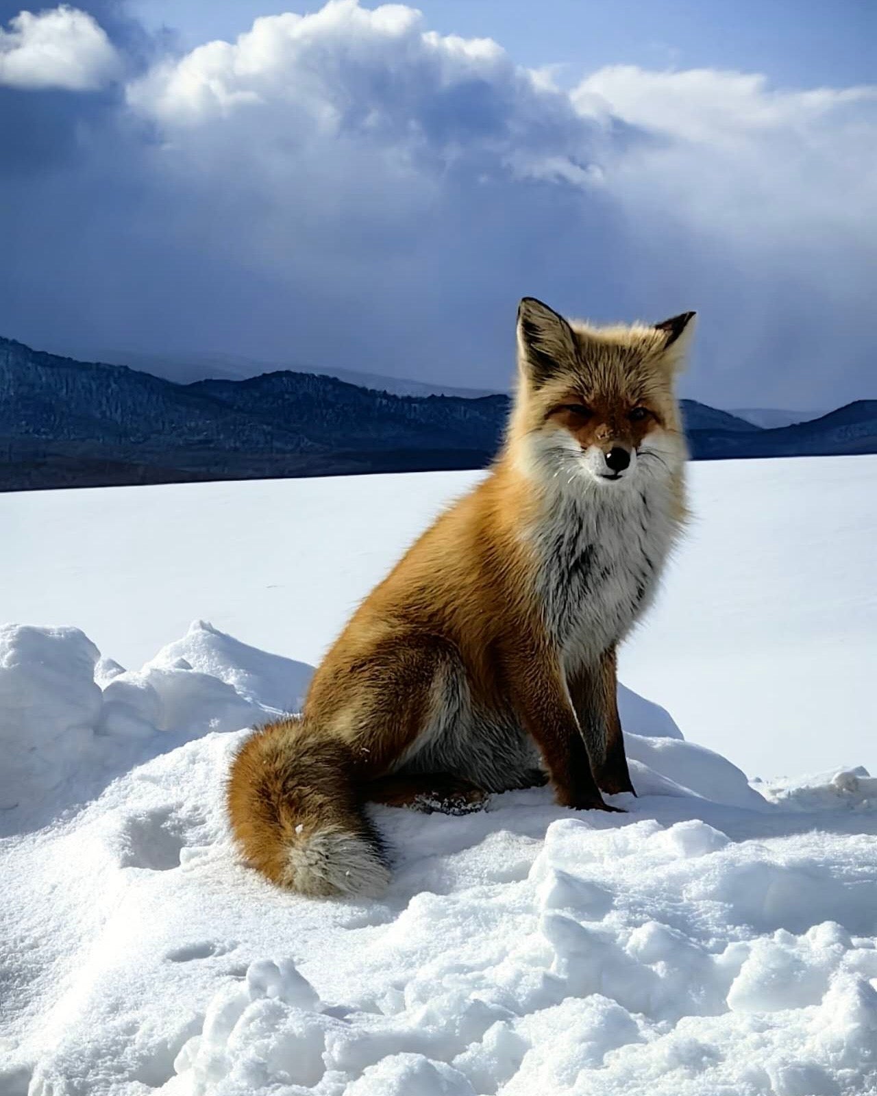 日本白馬外滑|頂級粉雪×祕境山岳|全程包車