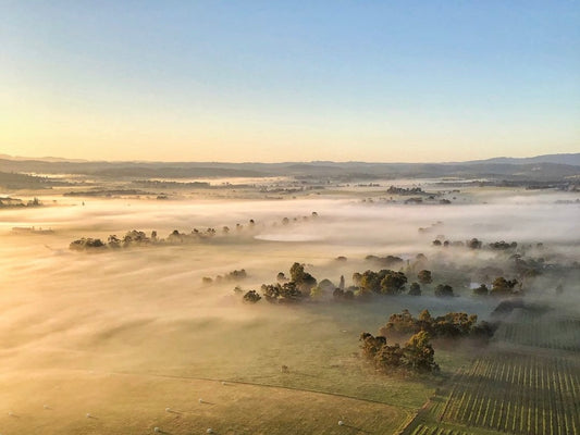 墨爾本包車|亞拉河谷酒莊一日遊