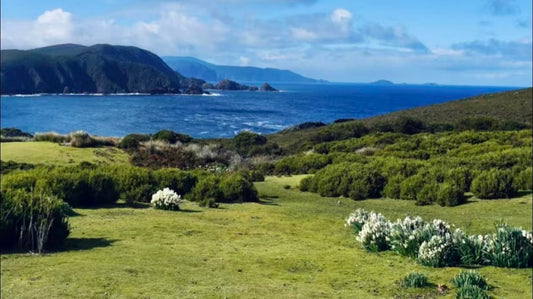 塔州游记｜山海、美食、萌宠一站式治愈