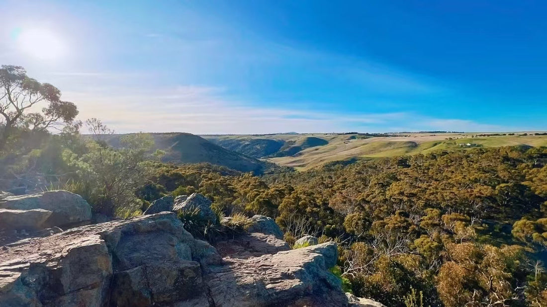 墨尔本小众游｜Werribee Gorge峡谷徒步