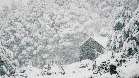 塔州滑雪｜Ben Lomond本洛蒙德滑雪场