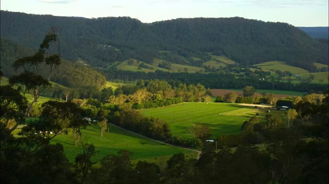 悉尼小众游｜探索Kangaroo Valley