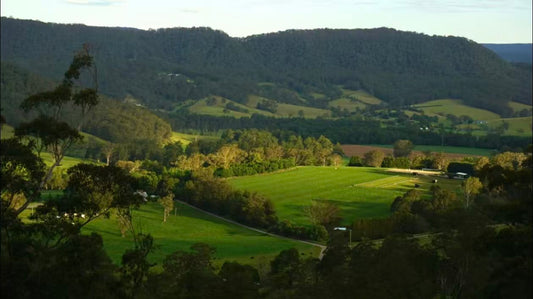 悉尼小众游｜探索Kangaroo Valley