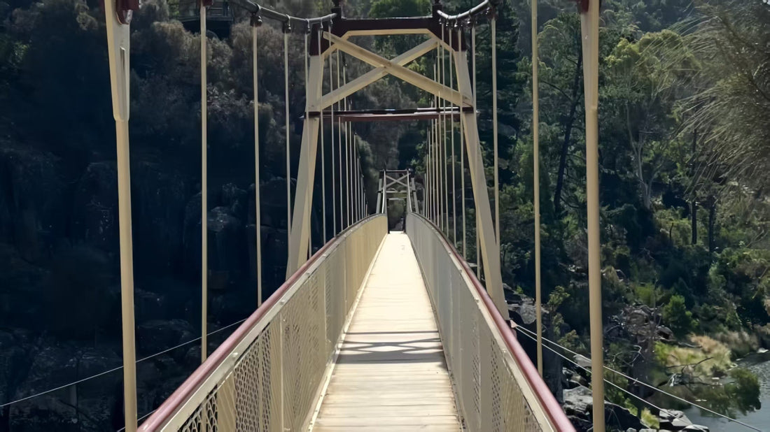 塔州游记｜Launceston