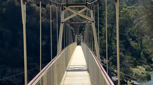 塔州游记｜Launceston
