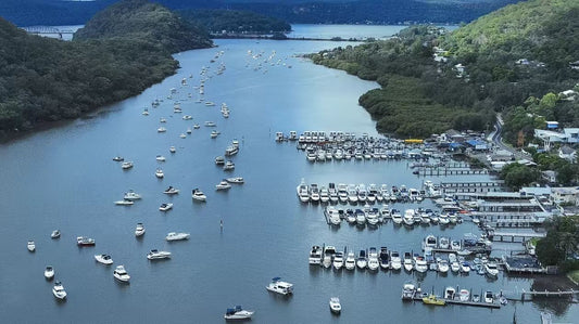 悉尼小众游｜Oyster Farm Tours