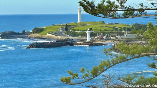 悉尼游记｜Wollongong