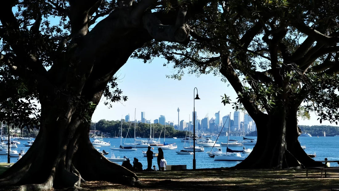 悉尼游记｜Watsons Bay