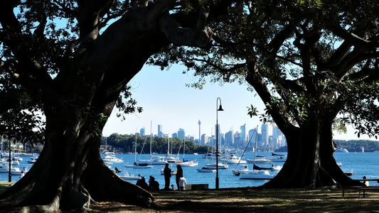 悉尼游记｜Watsons Bay