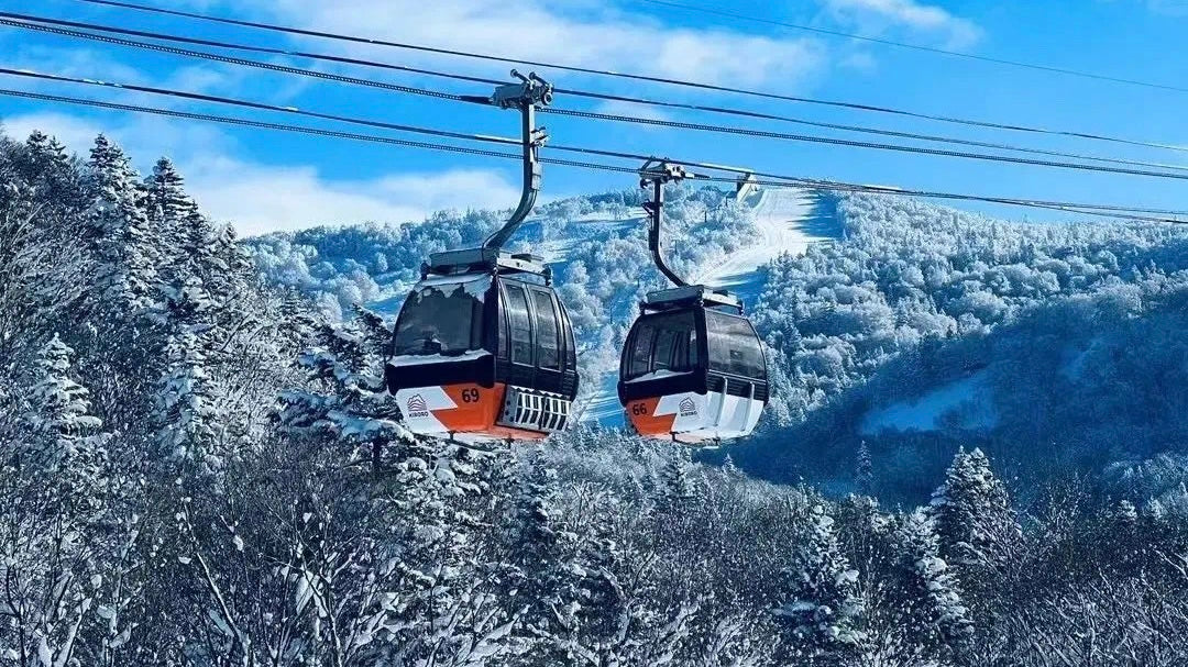 全球滑雪