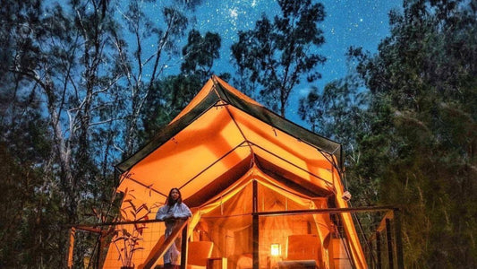 Sydney Charter | Two-day Dream Trip to White Sands and Dolphins | Jervis Bay Natural Slow Tour