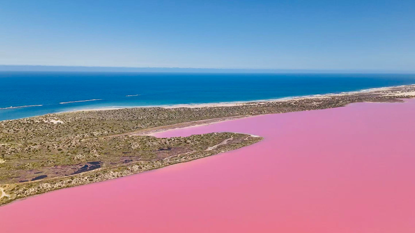 西澳 | 珀斯粉红浪漫之旅3日游