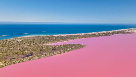 西澳 | 珀斯粉红浪漫之旅3日游