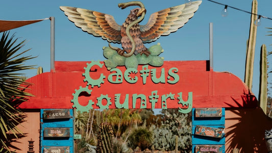 Melbourne Charter｜This is not Mexico｜One-day fun trip to the Cactus Country