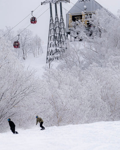 Japan Ski Saferi ｜Hokkaido New Year's Eve Snow Tour｜Full Charter