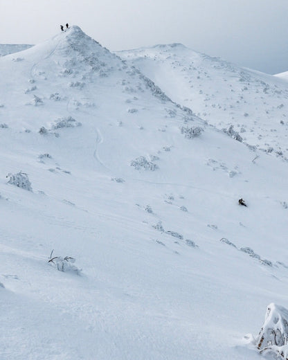 Japan Ski Safari | Top powder snow × secret mountain | Full-service charter