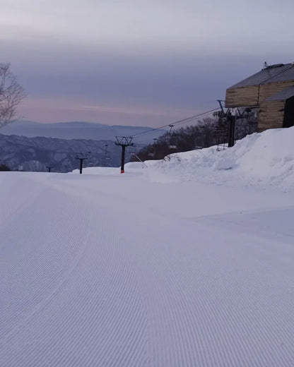 Japan Ski Safari | Top powder snow × secret mountain | Full-service charter